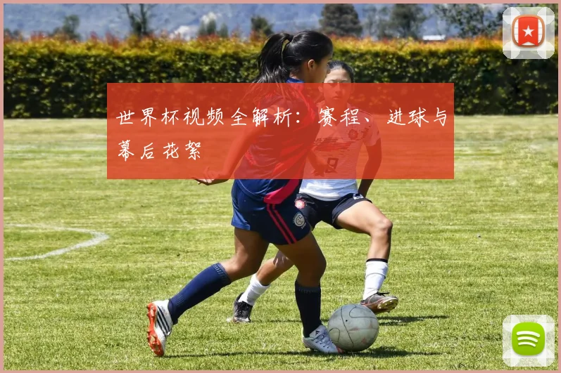 世界杯视频全解析：赛程、进球与幕后花絮