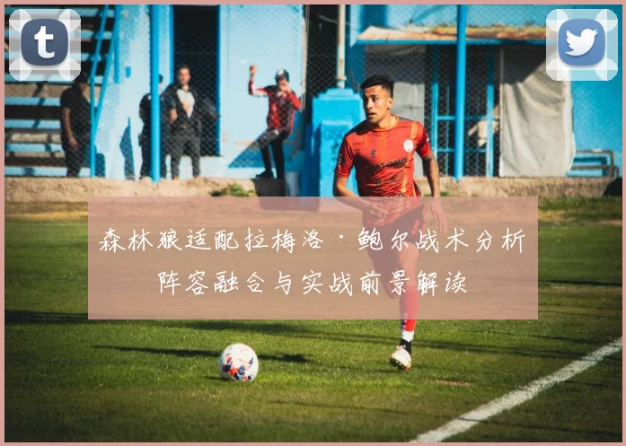 森林狼适配拉梅洛·鲍尔战术分析：阵容融合与实战前景解读