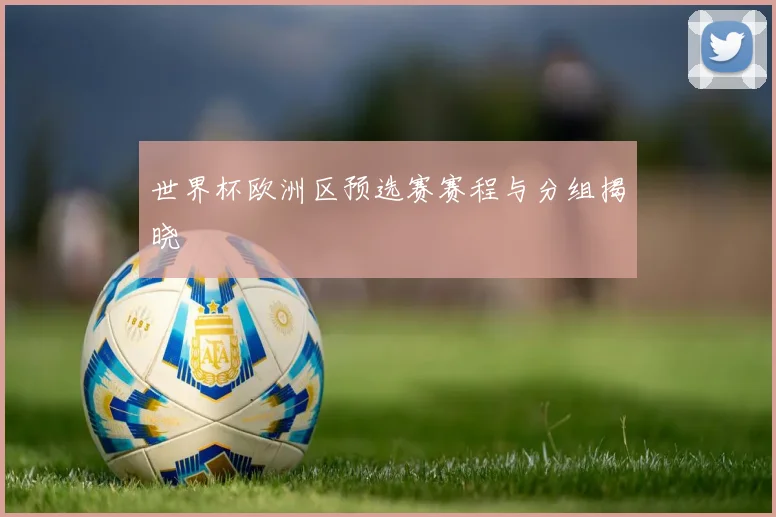 世界杯欧洲区预选赛赛程与分组揭晓
